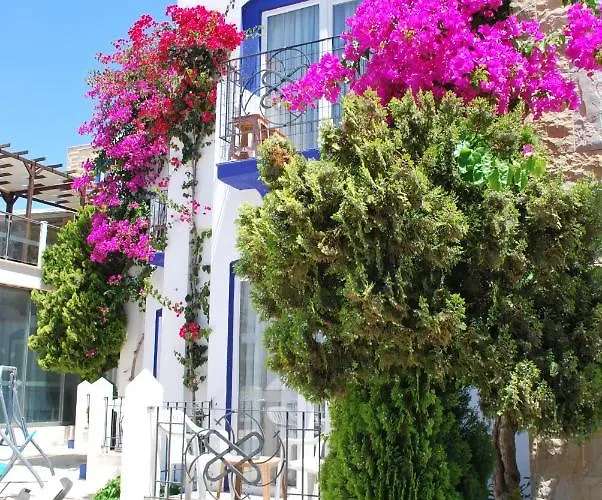 Serpina (adults Only) 호텔 Bodrum