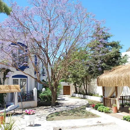 Serpina (adults Only) Otel 3*