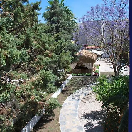 Serpina (adults Only) Hotel Bodrum