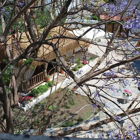 Serpina (adults Only) Hotel Bodrum