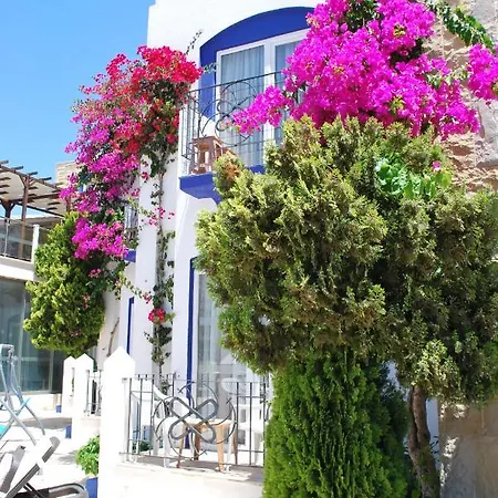 Serpina (adults Only) Ξενοδοχείο Αλικαρνασσός