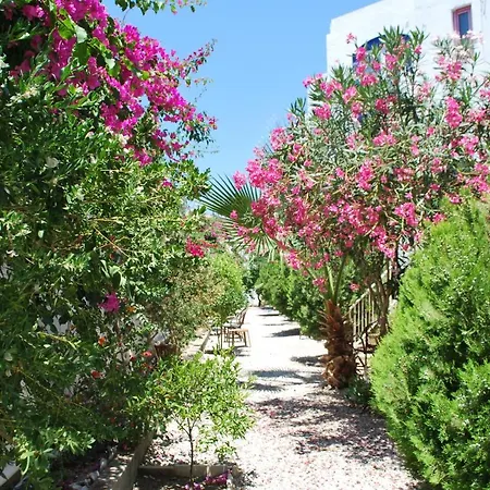 Hotell Serpina (adults Only) 3*