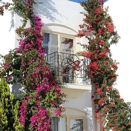 Hotell Serpina (adults Only)